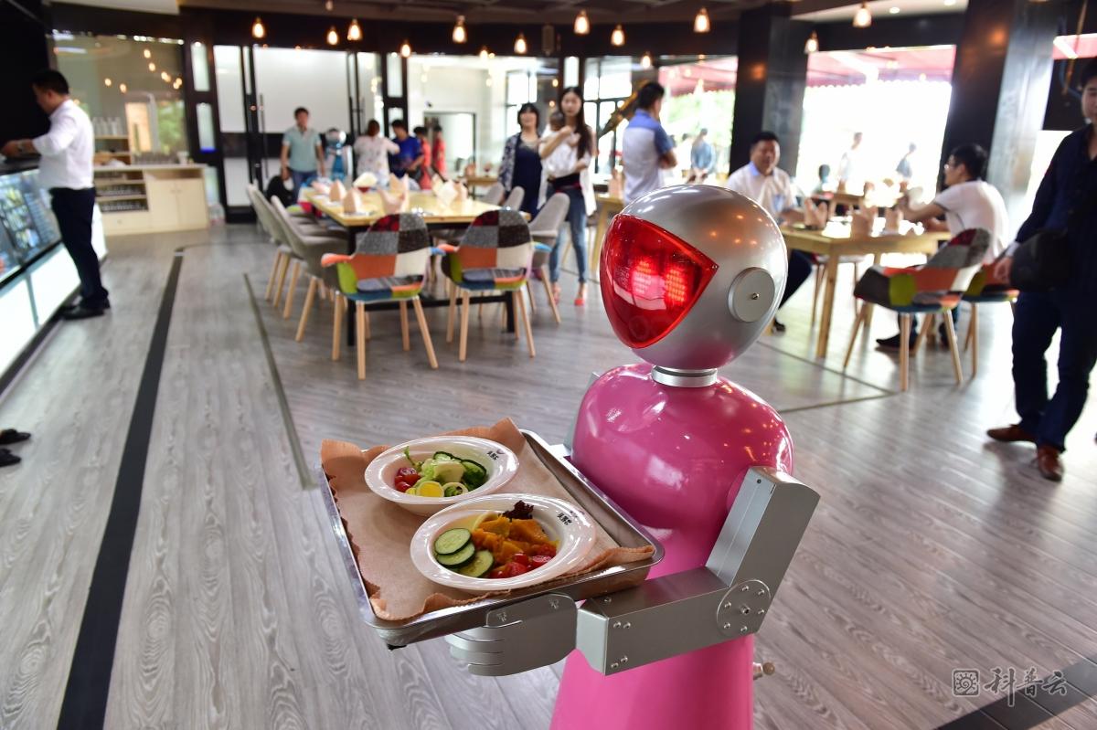 robot-waiter-forces-restaurant-closure.jpg