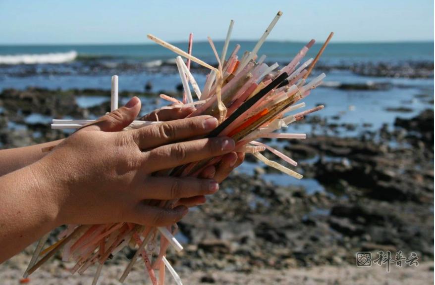 6-alternatives-to-plastic-straws-and-their-pros-and-cons-that-you-should-know-about-world-of-buzz.png