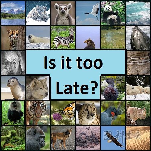 endangered-animals-collage.jpg