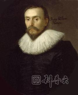 2221.jpg