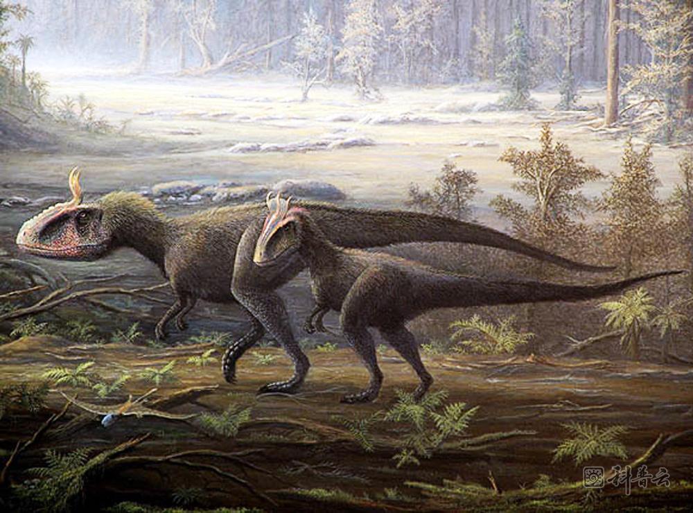 艾里奥特氏冰冠龙是怎样的一种恐龙