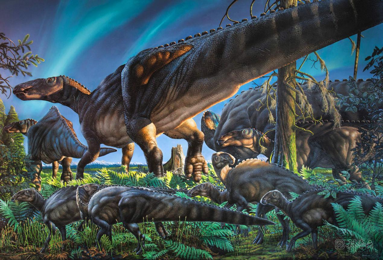 库克皮克古食草龙是怎样的一种恐龙