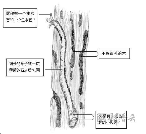 微信截图_20211112171905.jpg