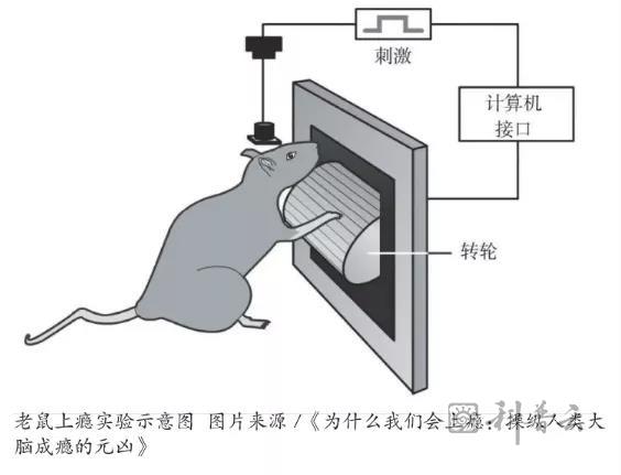 微信图片_20211117184710.jpg