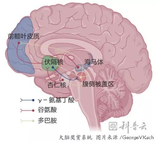 微信图片_20211117184713.jpg