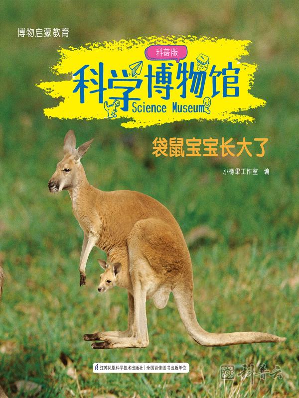 科学博物馆·袋鼠宝宝长大了.jpg