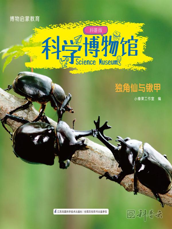 科学博物馆·独角仙与锹甲.jpg