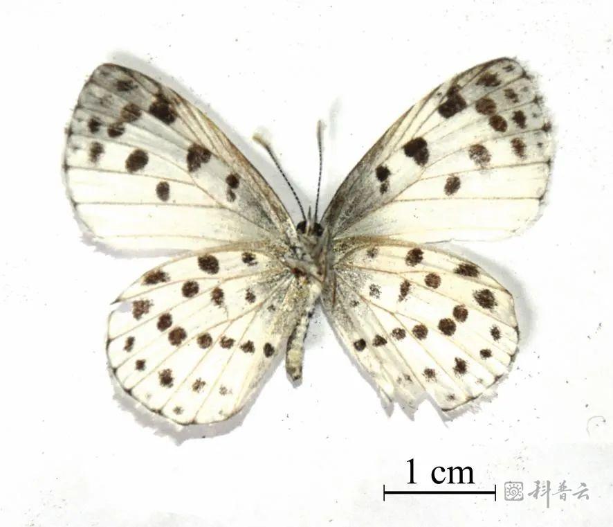 微信图片_20231009172346.jpg