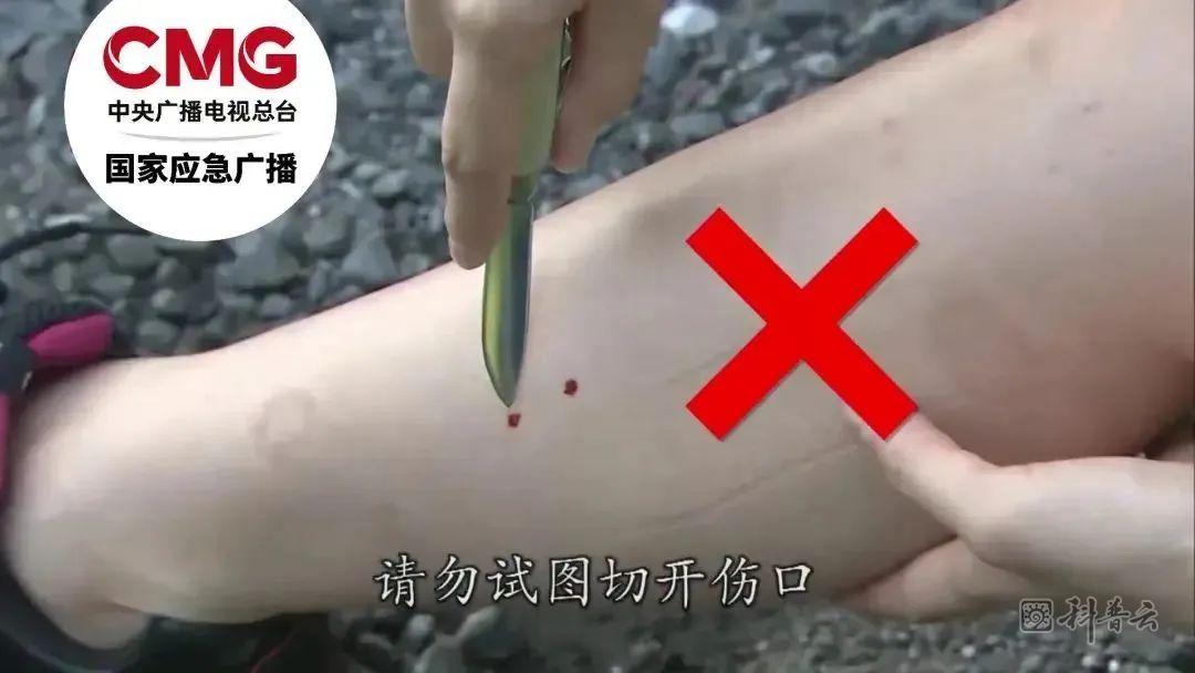 640.jpg