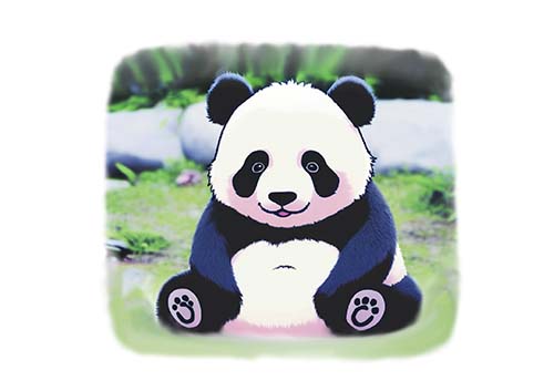 熊猫会像人类一样秃顶吗
