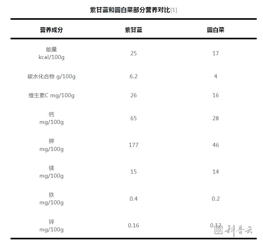 紫甘蓝.jpg